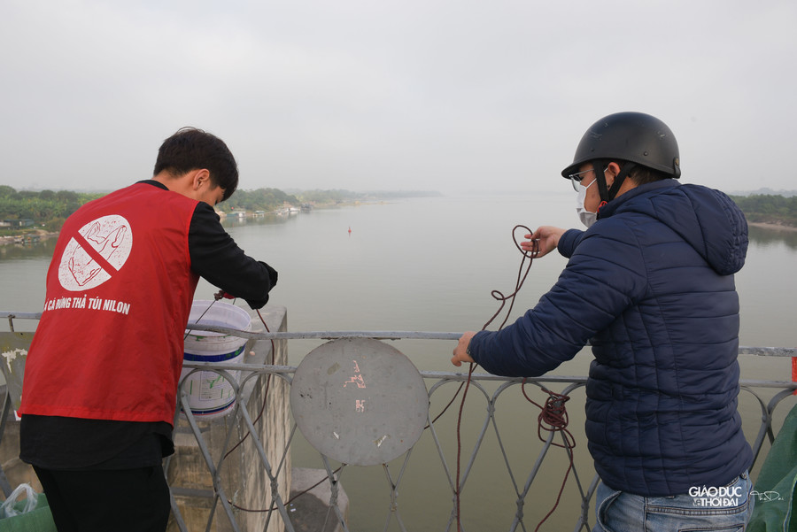 Cá chép vàng của người dân được các bạn tình nguyện viên thả giúp bằng cách cho vào xô rồi dòng dây xuống gần mặt nước mới đổ xuống, tránh tình trạng người dân quăng cả túi cá từ mặt cầu xuống sông Hồng.
