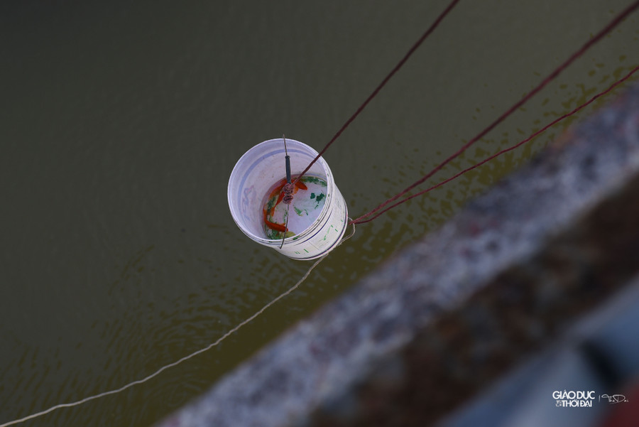 Sau đó được đưa xuống gần mặt nước để thả.