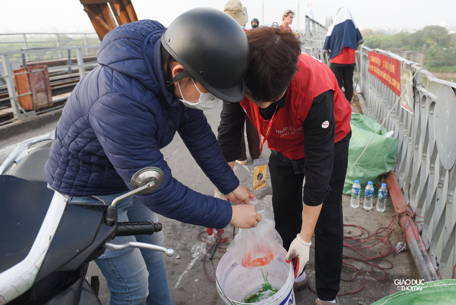 Cá chép vàng của người dân được các bạn tình nguyện viên thả giúp bằng cách cho vào xô rồi dòng dây xuống gần mặt nước mới đổ xuống, tránh tình trạng người dân quăng cả túi cá từ mặt cầu xuống sông Hồng.