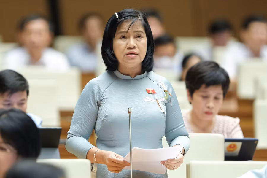 Đại biểu Nguyễn Thị Lệ Thủy - Đoàn ĐBQH tỉnh Bến Tre