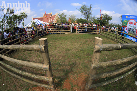 Doc dao, hai huoc le hoi choi De - Anh 2