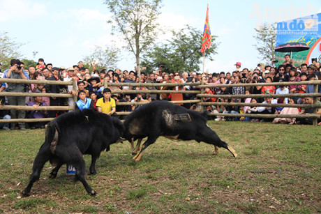 Doc dao, hai huoc le hoi choi De - Anh 3