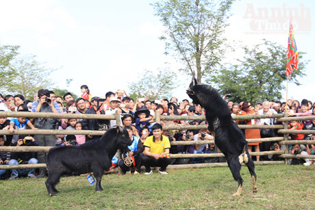 Doc dao, hai huoc le hoi choi De - Anh 8