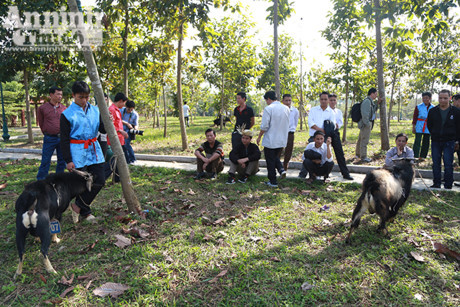 Doc dao, hai huoc le hoi choi De - Anh 1