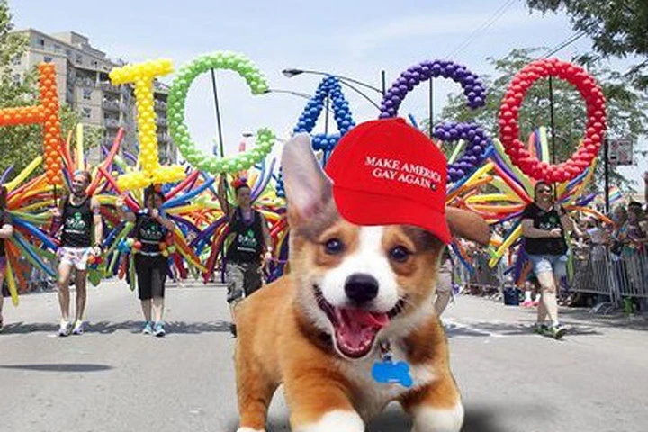 Chú chó vui vẻ trở thành hiện tượng ảnh chế mới
