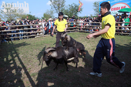 Doc dao, hai huoc le hoi choi De - Anh 9