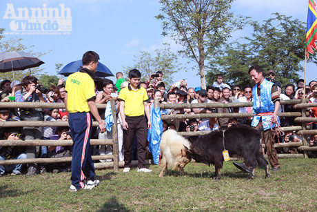 Doc dao, hai huoc le hoi choi De - Anh 7