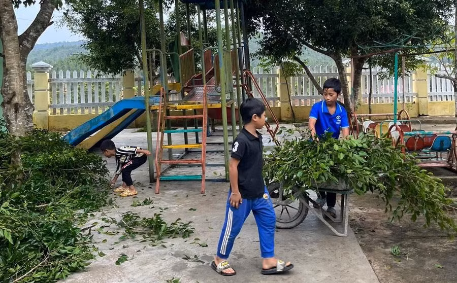 Các em học sinh huyện Kon Plông hỗ trợ thầy, cô dọn cây xanh đã cắt tỉa.