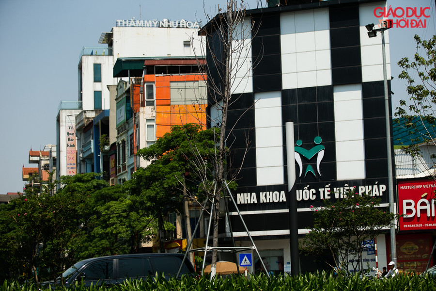 Trên đường Trần Duy Hưng có những cây phong đã chết mà chưa được chuyển đi.