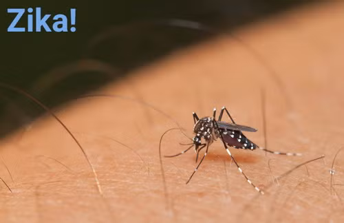 Những điều cần biết về nhiễm virrus Zika ở trẻ em