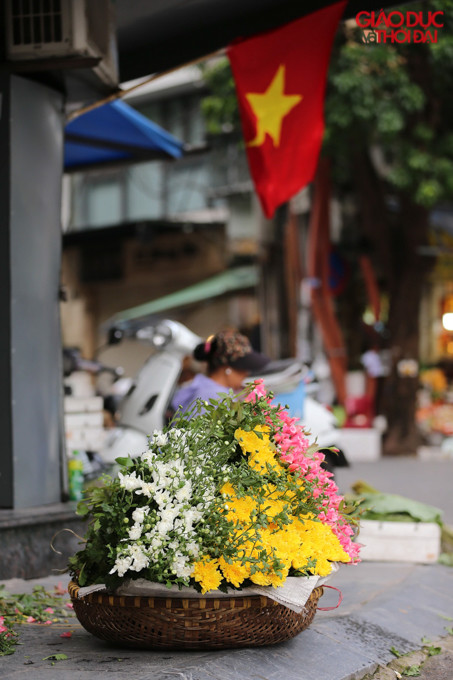 Gánh hàng hoa khiến không khí ngày Tết Độc lập thêm phần rực rỡ.