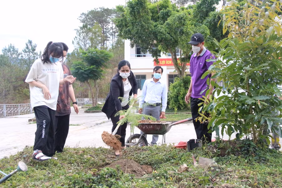 Trong chuyến thăm Phó giám đốc Sở trồng cây xanh tại 2 trường ở huyện Đăk Glei.