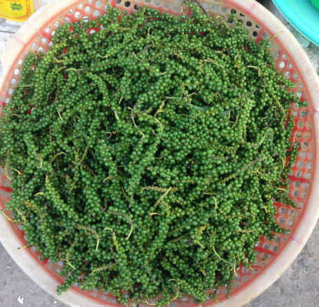 Trị gàu bằng hạt tiêu đen - Ảnh 3 Tri gau bang hat tieu den - Anh 3