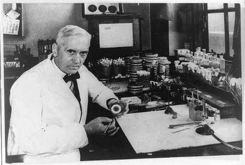 Alexander Fleming trong phòng thí nghiệm. Ảnh:loc.gov.