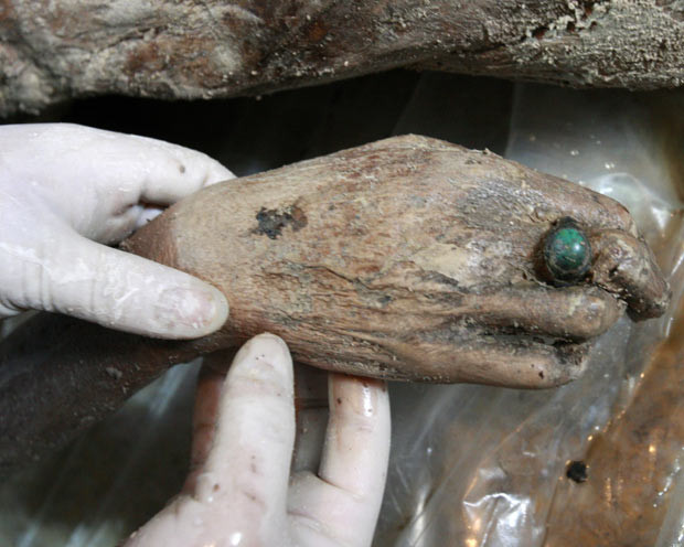 Những hình ảnh ấn tượng trong tuần ảnh 10 A staff member cleans a gem ring worn on the finger of a 700-year-old Ming Dynasty mummified female in Taizhou, Jiangsu Province, China. The well-preserved female corpse was found on March 1 in one of three Ming dyansty coffins excavated in Taizhou.