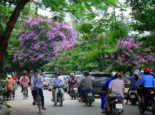 Ảnh minh họa.