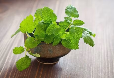 Day chinh la cach duoi chuot nhanh ma hieu qua nhat chang can toi thuoc diet - Anh 3