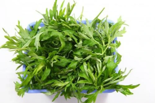 Ngải cứu.
