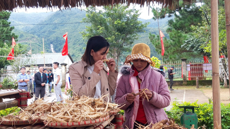 Gian hàng dược liệu của người dân được trưng bày tại hội nghị thành lập HTX.