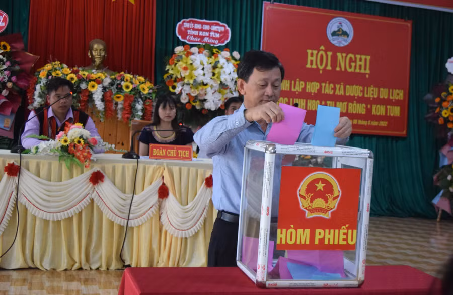 Bí thư Tỉnh uỷ Kon Tum - Dương Văn Trang bỏ phiếu bầu Hội đồng quản trị của HTX Dược liệu – Du lịch Ngọc Linh H80.