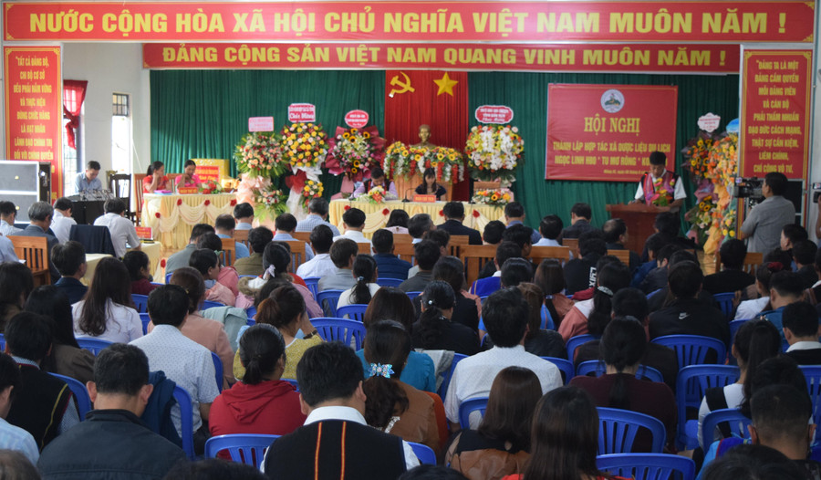 Hội nghị thành lập Hợp tác xã Dược liệu – Du lịch Ngọc Linh H80