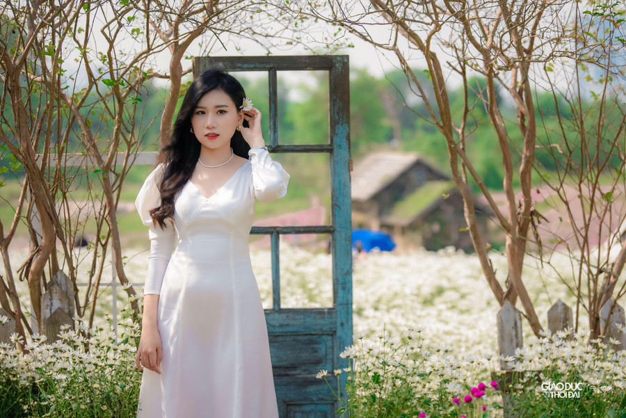 Theo đó, những cây hoa cúc hoạ mi mỏng manh được trồng trong bầu nên khi chuyển ra trồng đất thì cây không bị đứt rễ. Theo đó, những cây hoa cúc hoạ mi mỏng manh được trồng trong bầu nên khi chuyển ra trồng đất thì cây không bị đứt rễ.