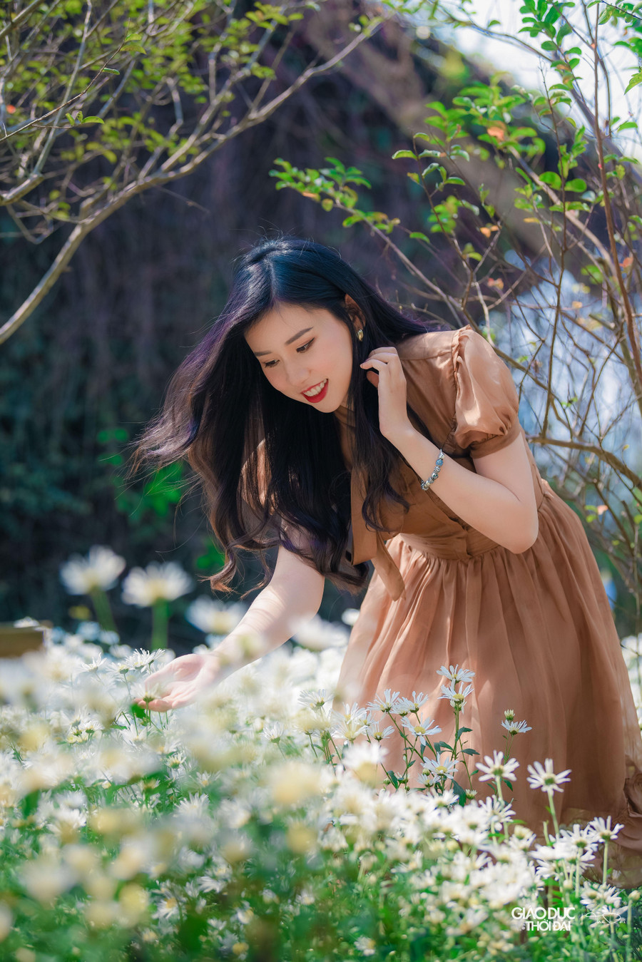 Vào những ngày này, không khó để bắt gặp hình ảnh những thiếu nữ Hà Thành tíu tít bên những vườn hoa cúc họa mi, đua nhau tạo dáng để lưu giữ cho mình những tấm hình đẹp nhất. Vào những ngày này, không khó để bắt gặp hình ảnh những thiếu nữ Hà Thành tíu tít bên những vườn hoa cúc họa mi, đua nhau tạo dáng để lưu giữ cho mình những tấm hình đẹp nhất.