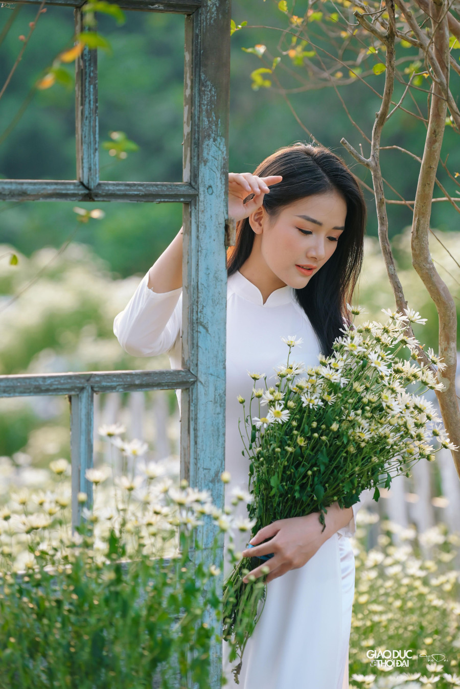 Nguyễn Linh Chi (Đại học Lao động Xã hội) cho biết: 'Em rất thích hoa cúc hoạ mi bởi vẻ đẹp mộc mạc mà thanh dã. Còn lâu mới đến mùa hoa nhưng khi biết ở đây có thảm hoa cúc hoạ mi nở sớm, em đã rủ bạn bè tranh thủ cuối tuần tới để chụp ảnh.' Nguyễn Linh Chi (Đại học Lao động Xã hội) cho biết: 'Em rất thích hoa cúc hoạ mi bởi vẻ đẹp mộc mạc mà thanh dã. Còn lâu mới đến mùa hoa nhưng khi biết ở đây có thảm hoa cúc hoạ mi nở sớm, em đã rủ bạn bè tranh thủ cuối tuần tới để chụp ảnh.'