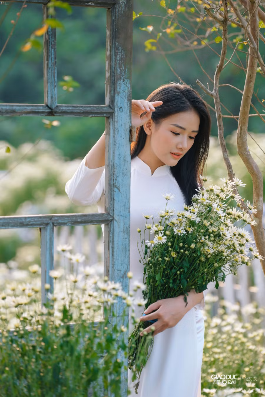 Nguyễn Linh Chi (Đại học Lao động Xã hội) cho biết: 'Em rất thích hoa cúc hoạ mi bởi vẻ đẹp mộc mạc mà thanh dã. Còn lâu mới đến mùa hoa nhưng khi biết ở đây có thảm hoa cúc hoạ mi nở sớm, em đã rủ bạn bè tranh thủ cuối tuần tới để chụp ảnh.' Nguyễn Linh Chi (Đại học Lao động Xã hội) cho biết: 'Em rất thích hoa cúc hoạ mi bởi vẻ đẹp mộc mạc mà thanh dã. Còn lâu mới đến mùa hoa nhưng khi biết ở đây có thảm hoa cúc hoạ mi nở sớm, em đã rủ bạn bè tranh thủ cuối tuần tới để chụp ảnh.'