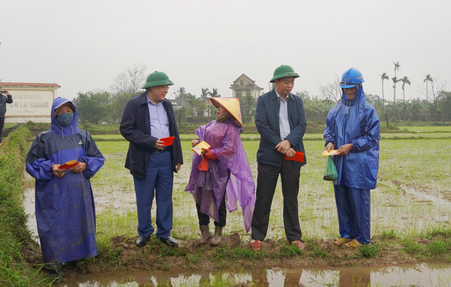 Lãnh đạo tỉnh Quảng Trị động viên bà con tích cực sản xuất vụ Đông Xuân. (Ảnh: Tiến Nhất). Lãnh đạo tỉnh Quảng Trị động viên bà con tích cực sản xuất vụ Đông Xuân. (Ảnh: Tiến Nhất).