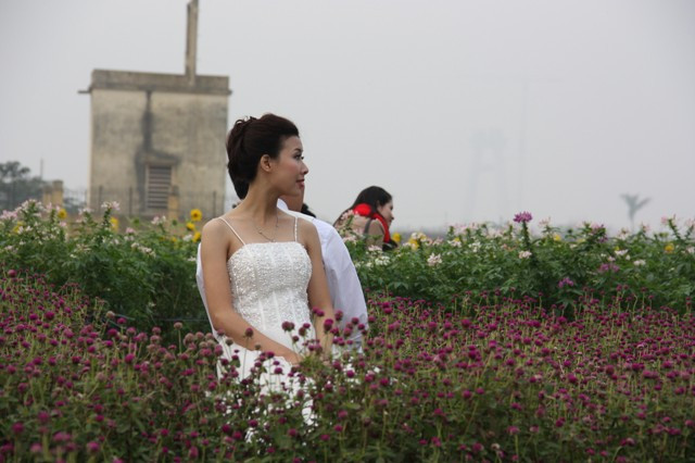 Nơi đây cũng là lựa chọn yêu thích của các cô dâu chú rể. ảnh: gdtd.vn