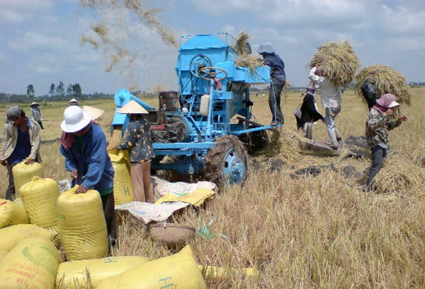 Phê duyệt Chiến lược phát triển dự trữ quốc gia đến năm 2020