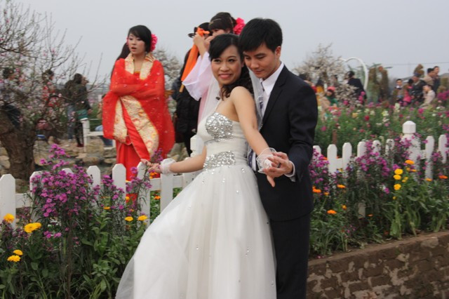 Vườn Nhật Tân: Đào giả hút giới trẻ ảnh 5