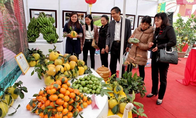 Hội chợ nông nghiệp xuân Quý Tỵ 2013