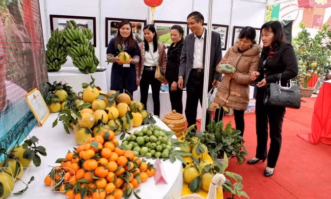 Hội chợ nông nghiệp xuân Quý Tỵ 2013