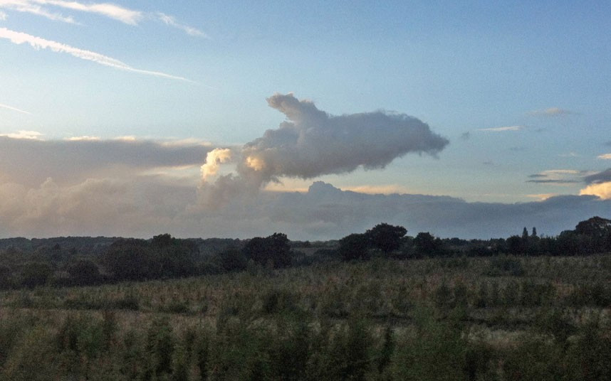 Những hình ảnh ấn tượng trong tuần ảnh 1 This dolphin cloud formation was spotted by white van driver Matthew Sears along the M11 in Essex