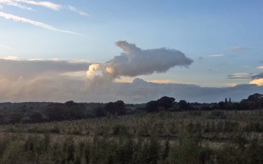 This dolphin cloud formation was spotted by white van driver Matthew Sears along the M11 in Essex