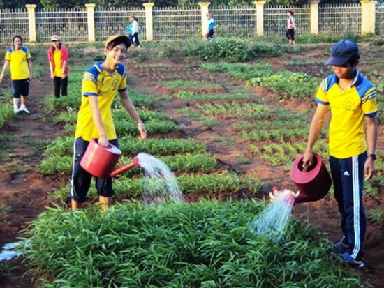 Học sinh ở khu vực có điều kiện KT-XH đặc biệt khó khăn sẽ được hỗ trợ gạo