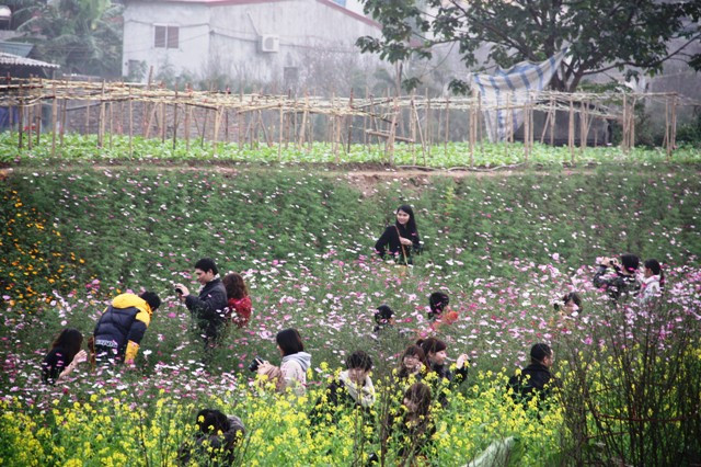 Vườn Nhật Tân: Đào giả hút giới trẻ ảnh 12