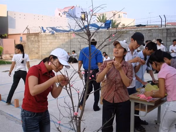 Lo Tết cho sinh viên nghèo