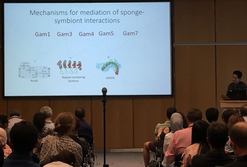 Nguyễn Việt Hùng là đại diện duy nhất của Việt Nam được phát biểu tại Hội thảo ISME 17