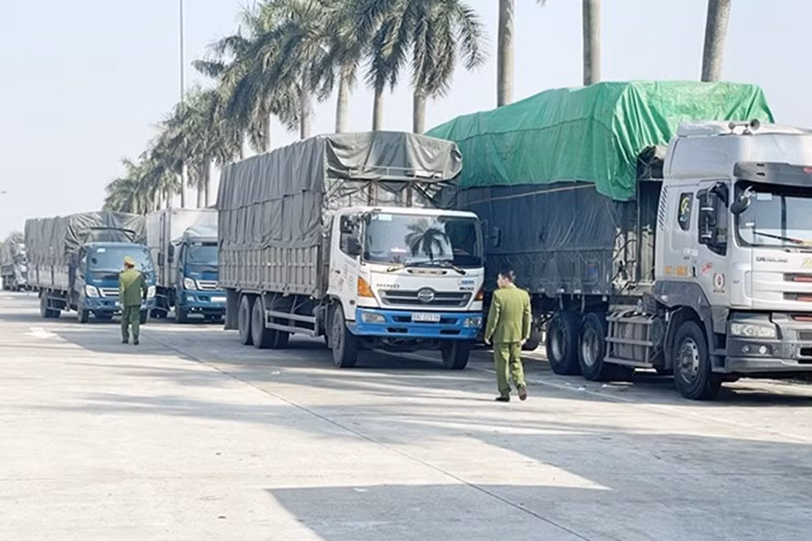 Đoàn 14 xe tải chở khoảng 300 tấn hàng hóa không rõ nguồn gốc bị cơ quan chức năng bắt giữ. Ảnh: Công an Hải Dương