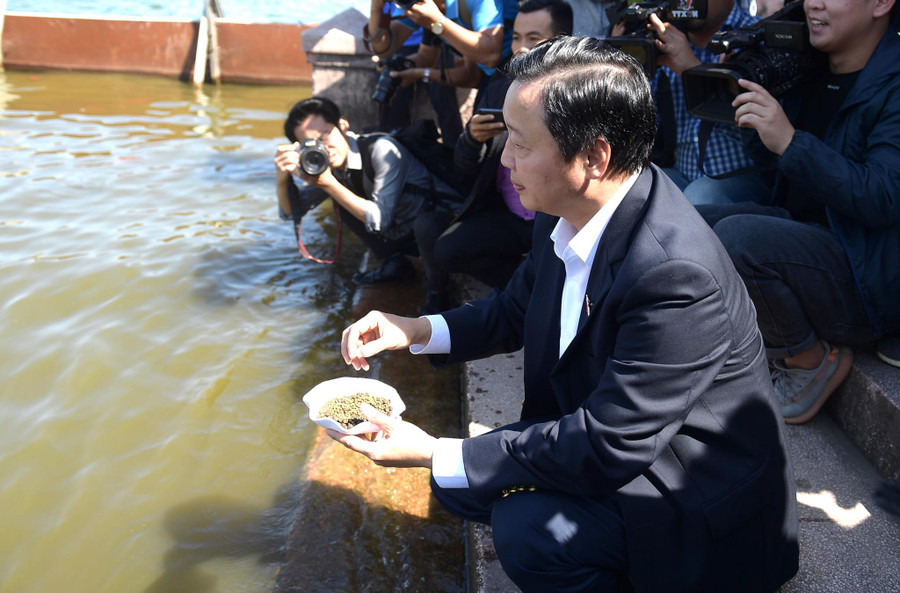 Ngay sau cuộc trao đổi, Bộ trưởng đã đích thân cho cá Koi ăn tại khu vực thí điểm xử lý nước Hồ Tây.