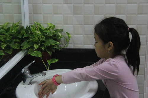 Bồn rửa tay được bài trí cây xanh mát mắt và thân thiện