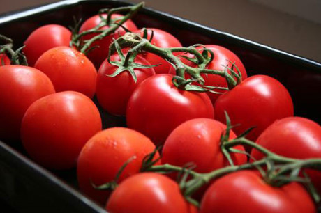 Da trang hong tu nhien voi 10 loai cu qua cuc pho bien - Anh 6