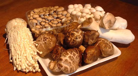 Da trắng hồng tự nhiên với 10 loại củ quả cực phổ biến - Ảnh 5 Da trang hong tu nhien voi 10 loai cu qua cuc pho bien - Anh 5