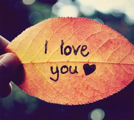 Nhung dau moc dang nho trong hanh trinh tinh yeu - Anh 8