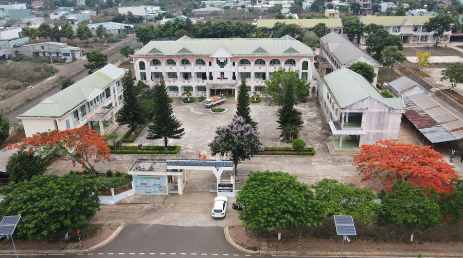 Khuôn viên trường Cao đẳng Gia Lai với điểm nhấn là hai cây phượng nở hoa đỏ rực.