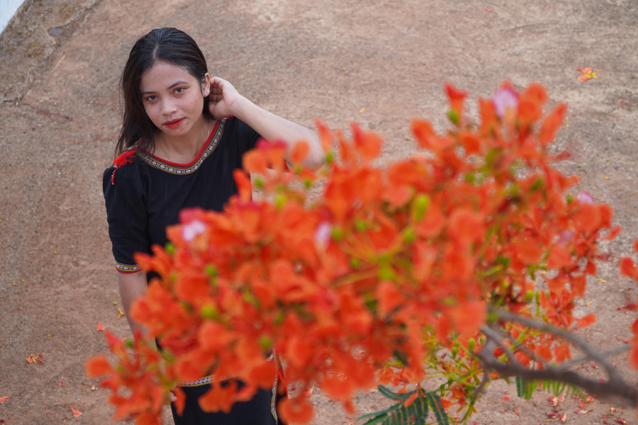 Ksor Tuyên - sinh viên của trường chia sẻ, năm nào cây phượng cũng ra hoa rực rỡ. &quot;Hoa đỏ rực thu hút rất đông người đến tham quan, chiêm ngưỡng và chụp hình. Mấy ngày nay, khuôn viên trường lúc nào cũng đông vui, nhộp nhịp&quot;, Ksor Tuyên nói.