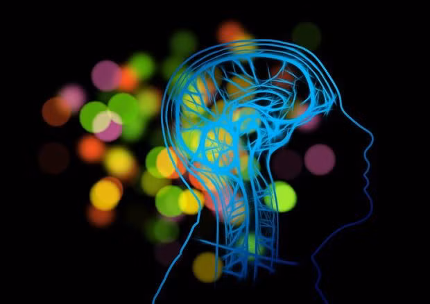 Ảnh Public Domain Pictures.